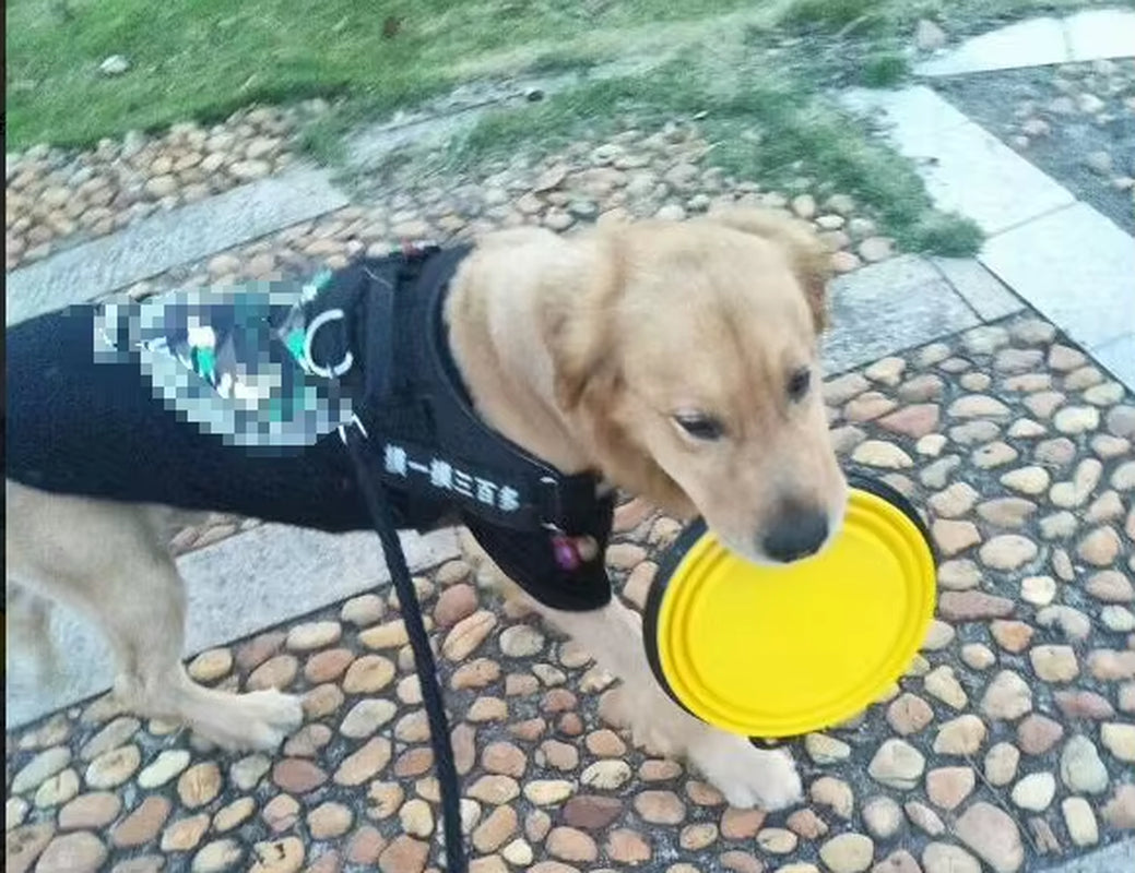 Dog Bowl Silicone Pet Dog Feeder Bowls Travel Dogs Cats Supplies Feeding Food Water Container Folding Pet Accessories