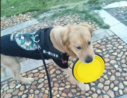 Dog Bowl Silicone Pet Dog Feeder Bowls Travel Dogs Cats Supplies Feeding Food Water Container Folding Pet Accessories